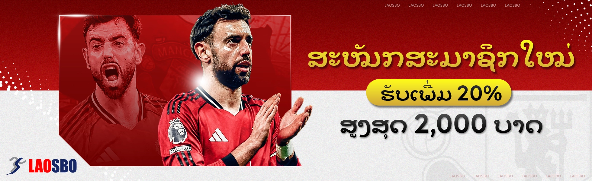 BANNER-LAOSBO_1
